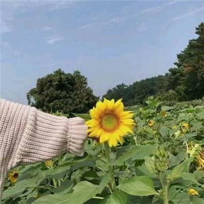 亿万疆尸游戏下载