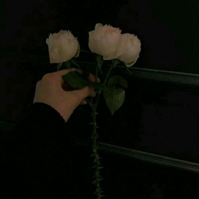 真三少女多酷版下载